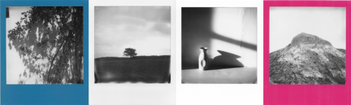 audrey borgel,photographe,photographie,polaroid,polaroids,pola